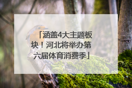涵盖4大主题板块！河北将举办第六届体育消费季