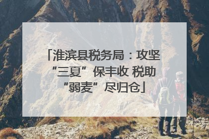 淮滨县税务局：攻坚“三夏”保丰收 税助“弱麦”尽归仓