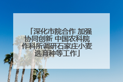 深化市院合作 加强协同创新 中国农科院作科所调研石家庄小麦选育种等工作