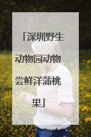 深圳野生动物园动物尝鲜洋蒲桃果