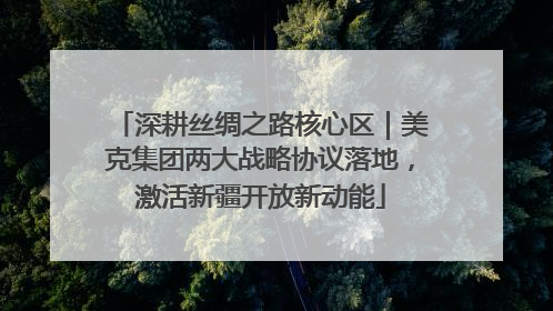 深耕丝绸之路核心区｜美克集团两大战略协议落地，激活新疆开放新动能
