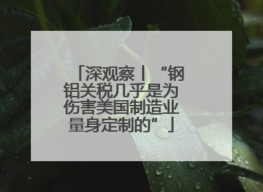 深观察丨“钢铝关税几乎是为伤害美国制造业量身定制的”
