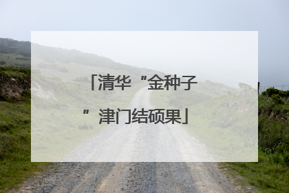 清华“金种子”津门结硕果
