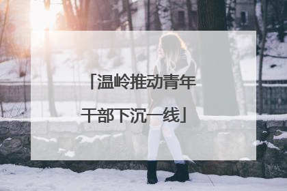 温岭推动青年干部下沉一线