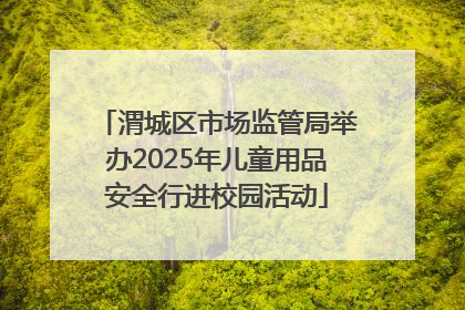 渭城区市场监管局举办2025年儿童用品安全行进校园活动