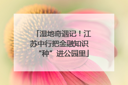 湿地奇遇记！江苏中行把金融知识“种”进公园里