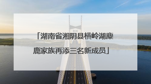 湖南省湘阴县横岭湖麋鹿家族再添三名新成员