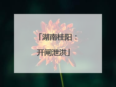 湖南桂阳：开闸泄洪