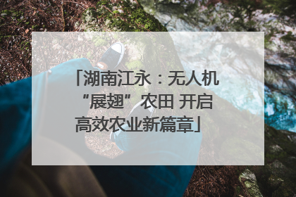 湖南江永：无人机“展翅”农田 开启高效农业新篇章