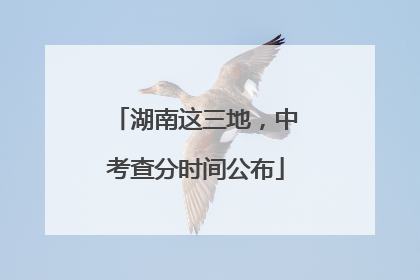 湖南这三地，中考查分时间公布