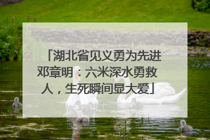 湖北省见义勇为先进邓章明：六米深水勇救人，生死瞬间显大爱