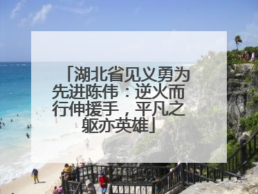 湖北省见义勇为先进陈伟：逆火而行伸援手，平凡之躯亦英雄