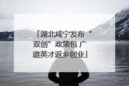 湖北咸宁发布“双创”政策包 广邀英才返乡创业