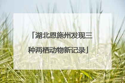 湖北恩施州发现三种两栖动物新记录