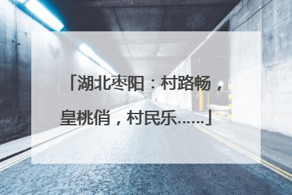 湖北枣阳：村路畅，皇桃俏，村民乐……
