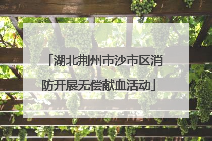湖北荆州市沙市区消防开展无偿献血活动
