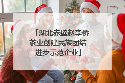 湖北赤壁赵李桥茶业创建民族团结进步示范企业
