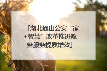湖北通山公安“家+智慧”改革推进政务服务提质增效