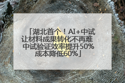 湖北首个！AI+中试让材料成果转化不再难 中试验证效率提升50%成本降低60%