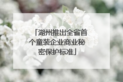 湖州推出全省首个童装企业商业秘密保护标准