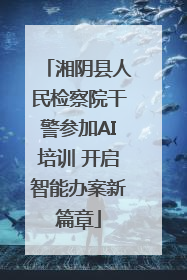 湘阴县人民检察院干警参加AI培训 开启智能办案新篇章