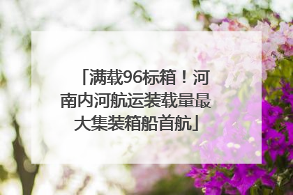 满载96标箱！河南内河航运装载量最大集装箱船首航