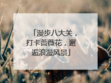 漫步八大关，打卡蔷薇花，邂逅浪漫风景