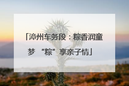 漳州车务段：粽香润童梦 “粽”享亲子情