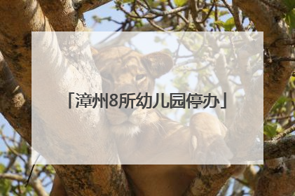 漳州8所幼儿园停办