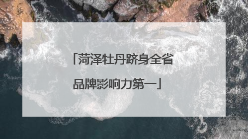 菏泽牡丹跻身全省品牌影响力第一