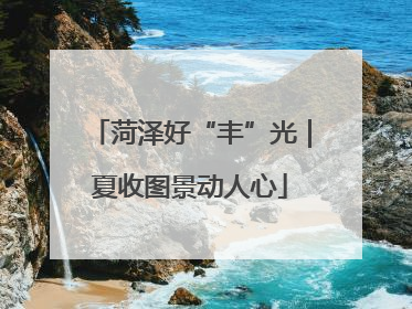 菏泽好“丰”光｜夏收图景动人心