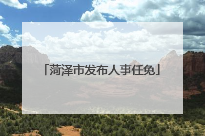 菏泽市发布人事任免