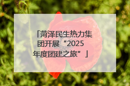 菏泽民生热力集团开展“2025年度团建之旅”