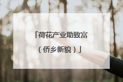 荷花产业助致富（侨乡新貌）