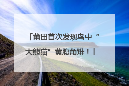 莆田首次发现鸟中“大熊猫”黄腹角雉！