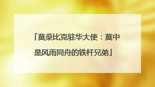 莫桑比克驻华大使：莫中是风雨同舟的铁杆兄弟