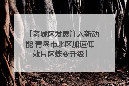 老城区发展注入新动能 青岛市北区加速低效片区蝶变升级