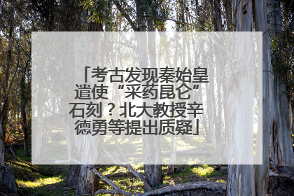 考古发现秦始皇遣使“采药昆仑”石刻？北大教授辛德勇等提出质疑