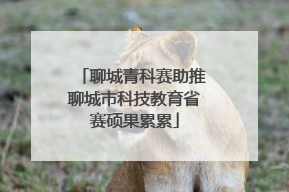 聊城青科赛助推聊城市科技教育省赛硕果累累