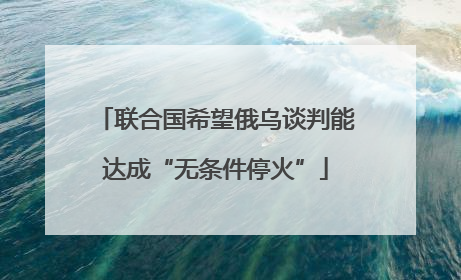 联合国希望俄乌谈判能达成“无条件停火”