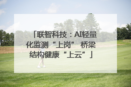 联智科技：AI轻量化监测“上岗” 桥梁结构健康“上云”