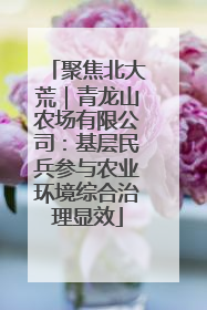 聚焦北大荒｜青龙山农场有限公司：基层民兵参与农业环境综合治理显效