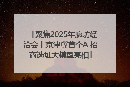 聚焦2025年廊坊经洽会丨京津冀首个AI招商选址大模型亮相