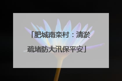 肥城南栾村：清淤疏堵防大汛保平安