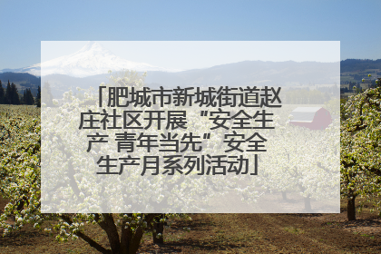 肥城市新城街道赵庄社区开展“安全生产 青年当先”安全生产月系列活动