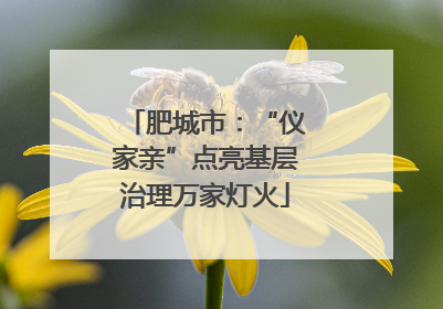 肥城市：“仪家亲”点亮基层治理万家灯火