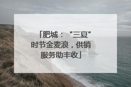 肥城：“三夏”时节金麦浪，供销服务助丰收
