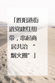 胜阳港街道党建红纽带，串起商居共治 “烟火圈”