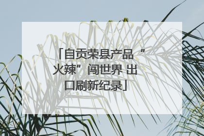 自贡荣县产品“火辣”闯世界 出口刷新纪录