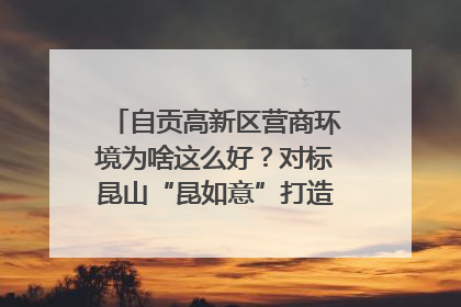 自贡高新区营商环境为啥这么好？对标昆山“昆如意”打造自贡“高兴办”｜美好生活有“盐”味